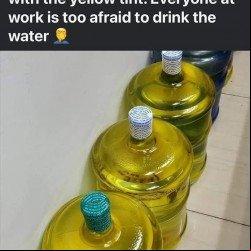 The Yellow Water