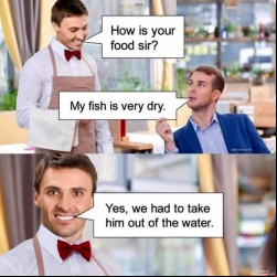 The Fish Is Dry