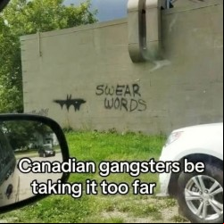 Swear Words
