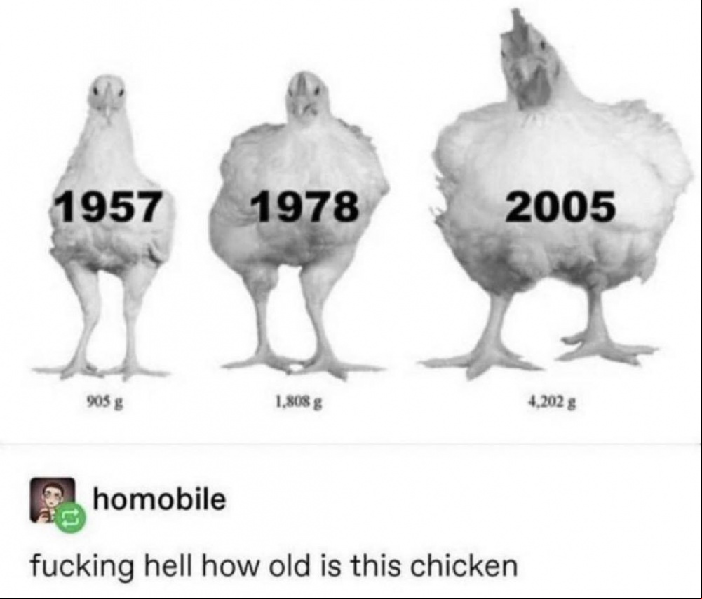How Old? #0