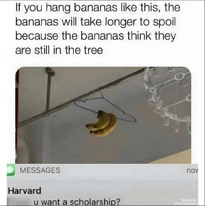 Genius #0